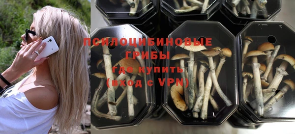 гидропоника Абаза