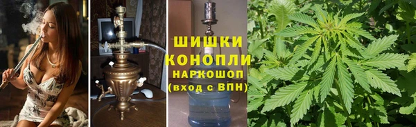 гидропоника Абаза
