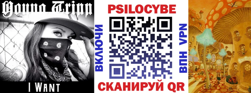 Галлюциногенные грибы GOLDEN TEACHER Севастополь