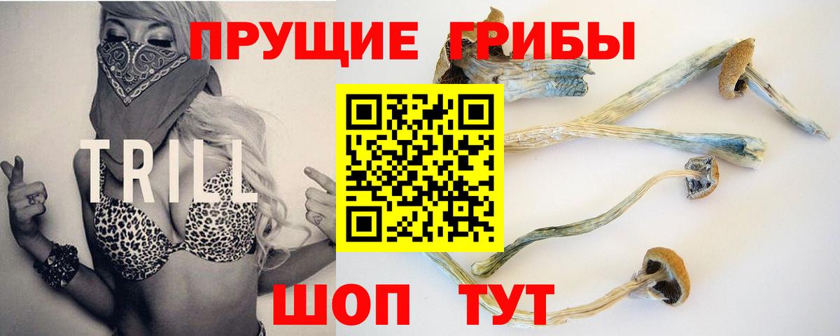Псилоцибиновые грибы мицелий  Вход с VPN  где купить наркоту  Севастополь 