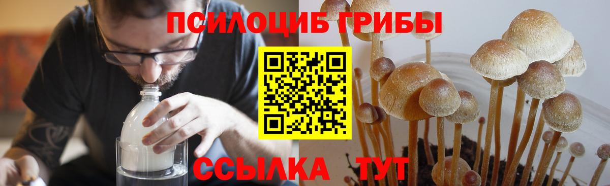 Галлюциногенные грибы ЛСД Севастополь